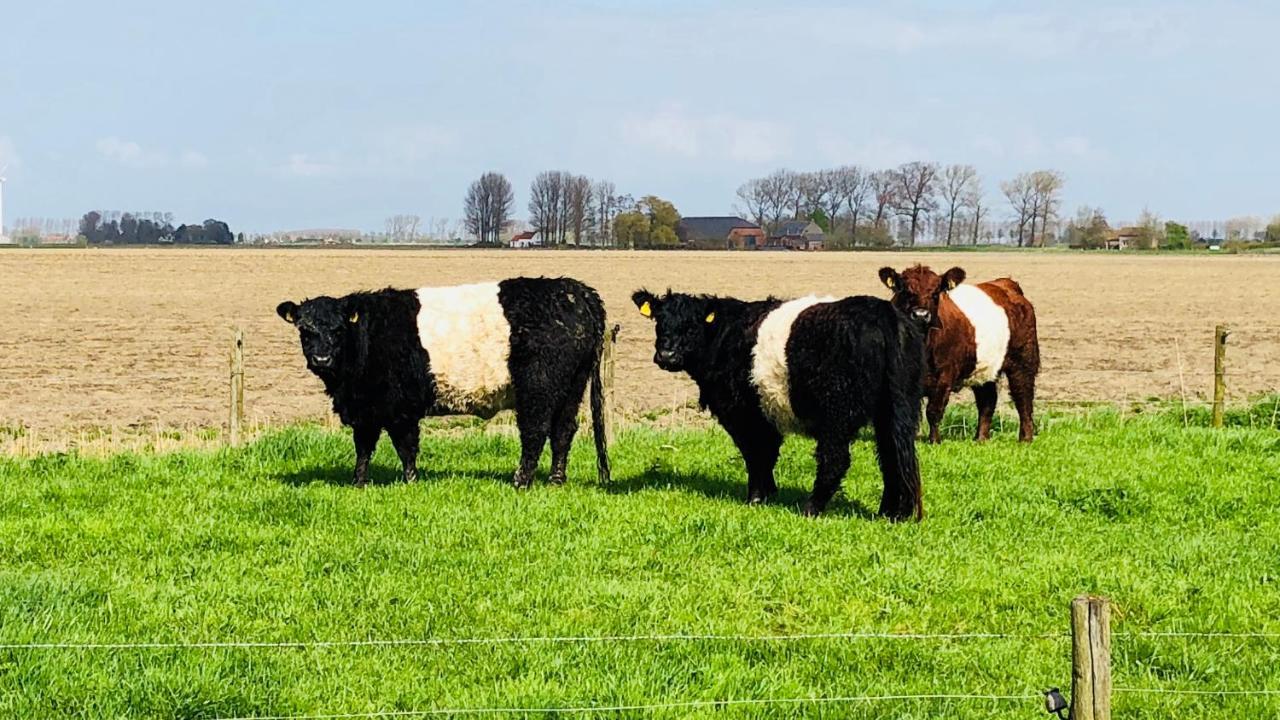 Slapen Bij De Zeeuwse Lala Bed & Breakfast IJzendijke Exterior foto